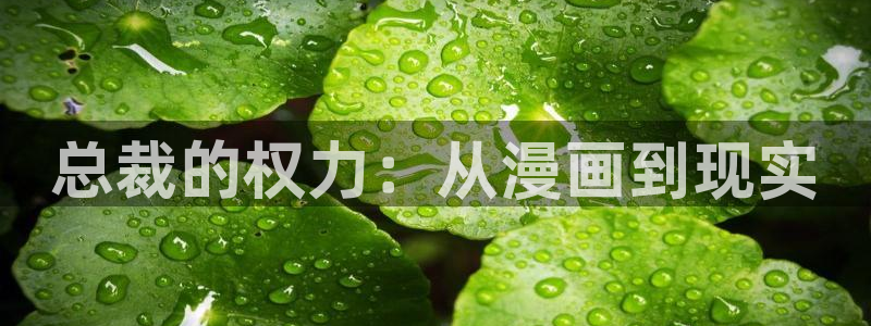 哔咔漫画无删减