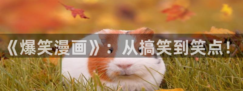哔咔漫画网app：《爆笑漫画》：从搞笑到笑点！