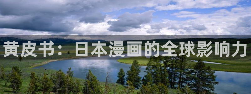 哔咔漫画.apk.1：黄皮书：日本漫画的全球影响力