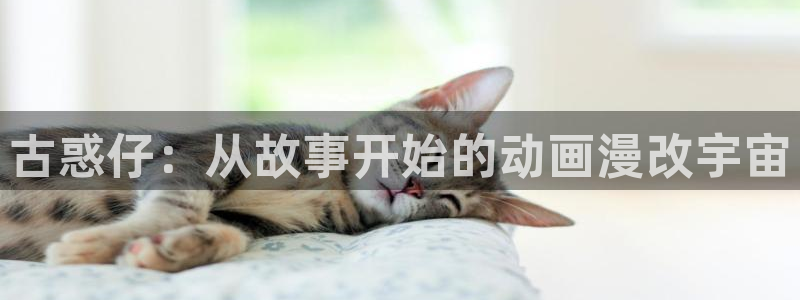 哔咔漫画下拉式免费阅读：古惑仔：从故事开始的动画漫改宇宙